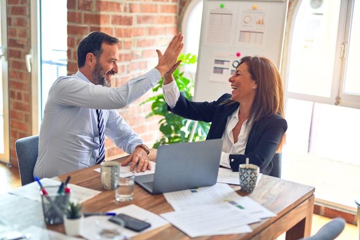 Bridgewater Advisory Services SAP consulting